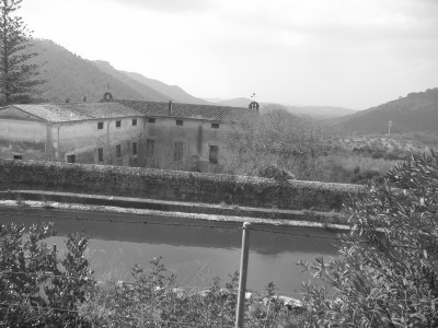 CIMG0149.ssf kurz vor sippe.jpg