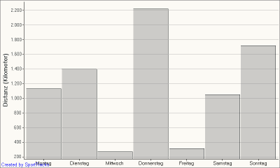 Gesamtdistanz - Wochentag.png