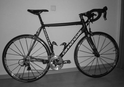 Cannondale CAAD 10_sw.jpg