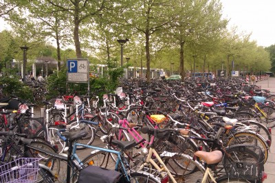 2012-05-11 09.51.58.jpg