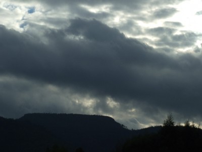 2 Großer Heuscheuer.jpg