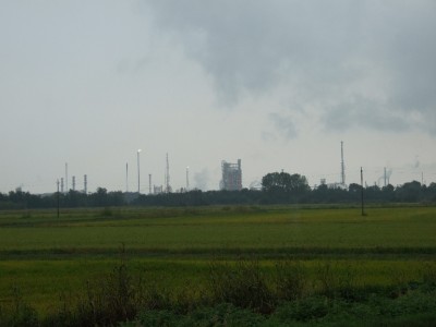 12 Ölraffinerie - im Vordergrund Reis.jpg